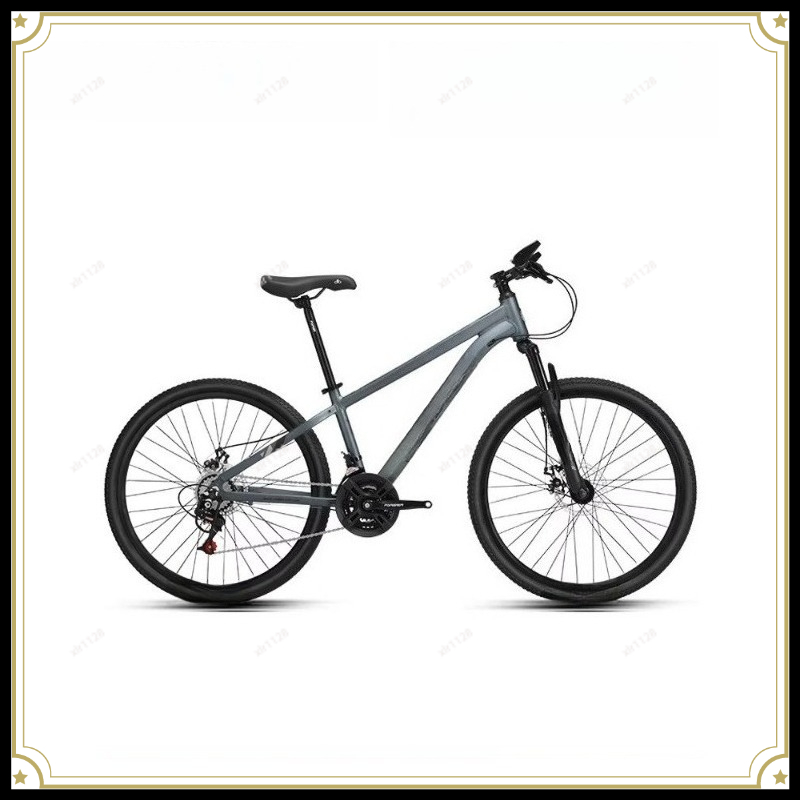 Commuting With Bike - Bicicletta da montagna a velocità variabile