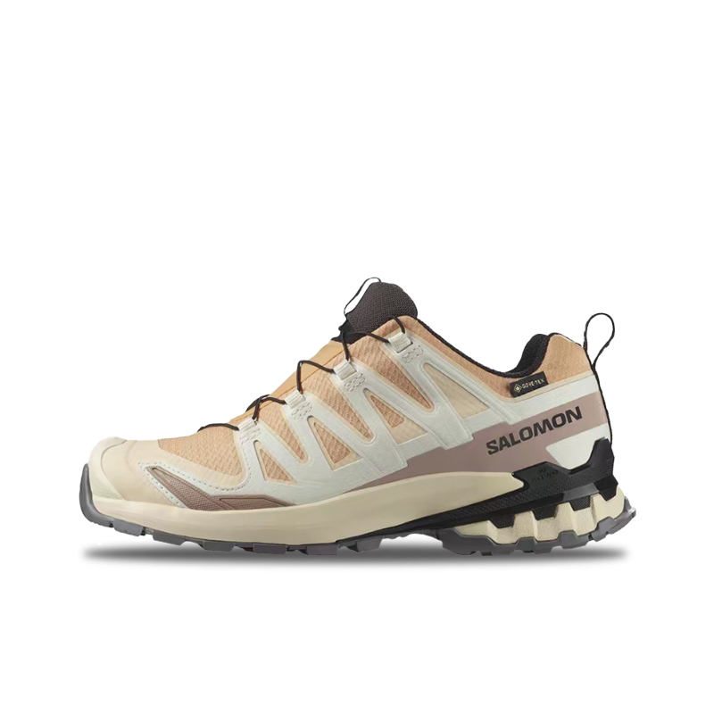 Salomon XA Pro 3D V9 GTX: Una  - Salomon Shoes Xa Pro 3D recensione e prezzo